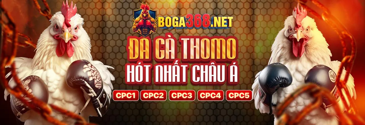 Chương trình VIP VF88 App