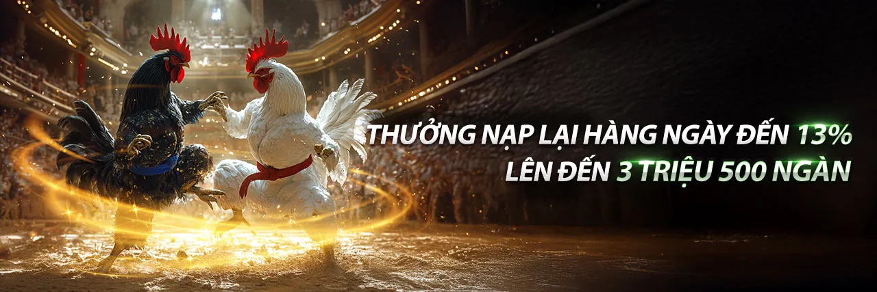 Bàn Baccarat trực tuyến với người chia bài thật tại vf88 app
