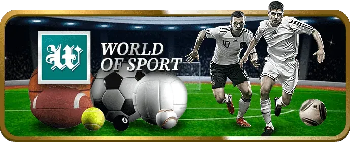 Hình ảnh mô tả các loại kèo cược phổ biến tại vf88 app